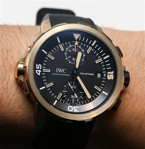 iwc aquatimer charles darwin replica|charles darwin aquatimer.